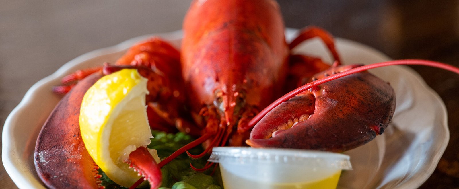 lobster-dinner-portsmouth-nh