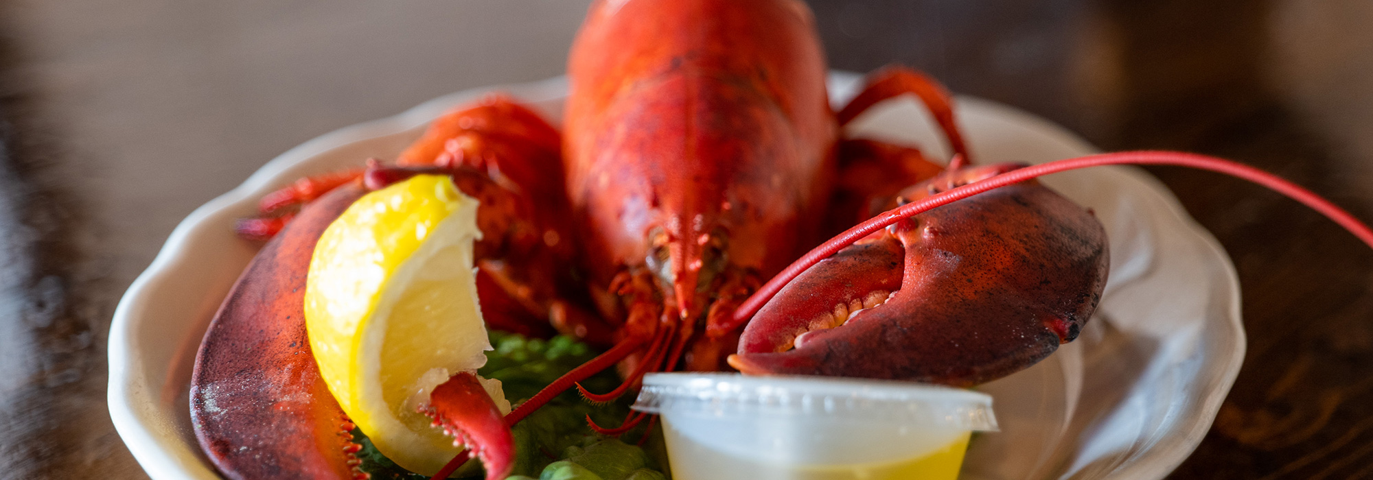 lobster-dinner-portsmouth-nh