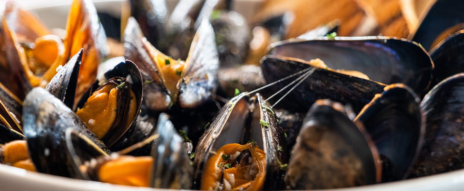 seafood-new-hampshire